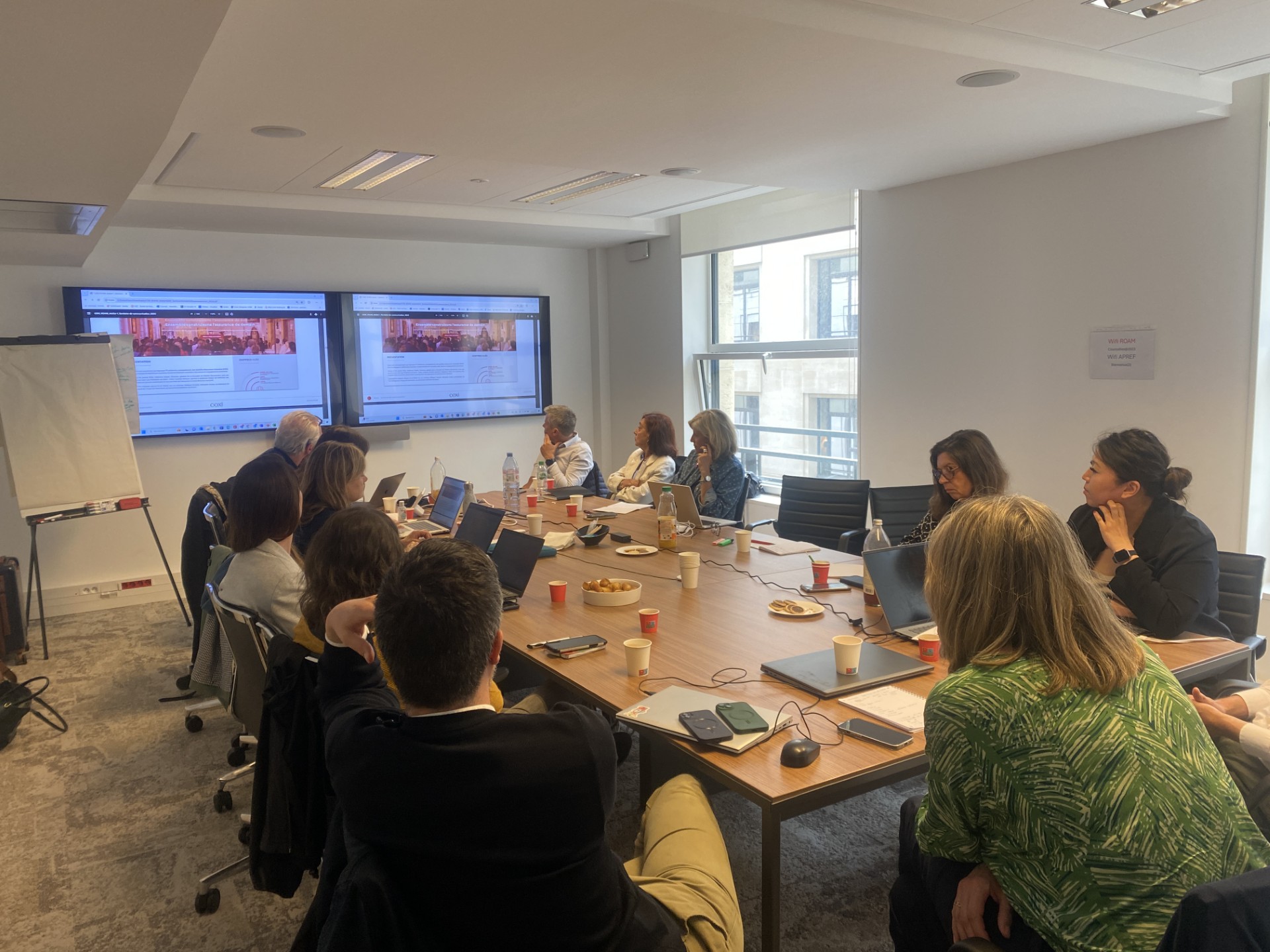 ROAM-atelier-3-Territoire de com-identité visuelle-association-assureurs-coxi-agence-communication-pub-lyon