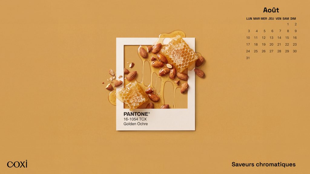Coxi_Fond_écrans_Saveurs_Chromatiques_Août
